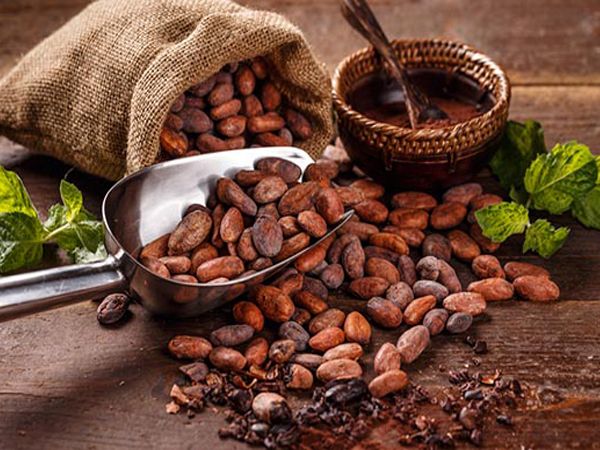 loi ich cua bot cacao va chong chi dinh dung bot cacao 01